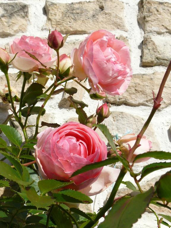 Le Clos De La Vigne Montreuil  ภายนอก รูปภาพ