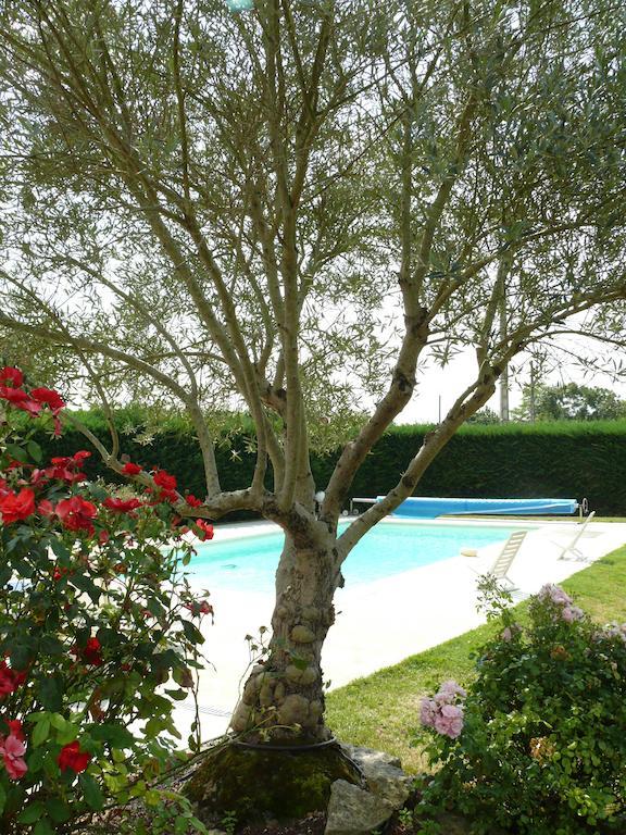 Le Clos De La Vigne Montreuil  ภายนอก รูปภาพ